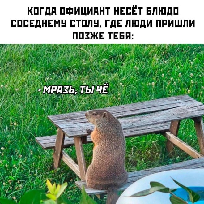 Когда официант несет блюдо соседнему столу людям, которые пришли позже тебя