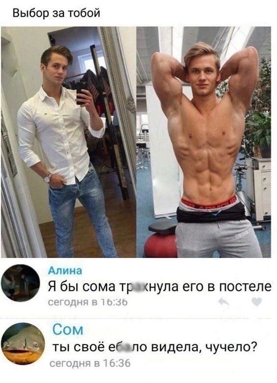 Сом с намерениями не согласен
