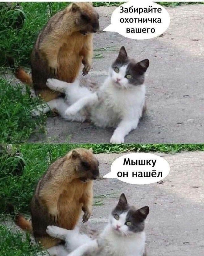 Отборный юмор в мемах и картинках с надписями - Трендовый юмор