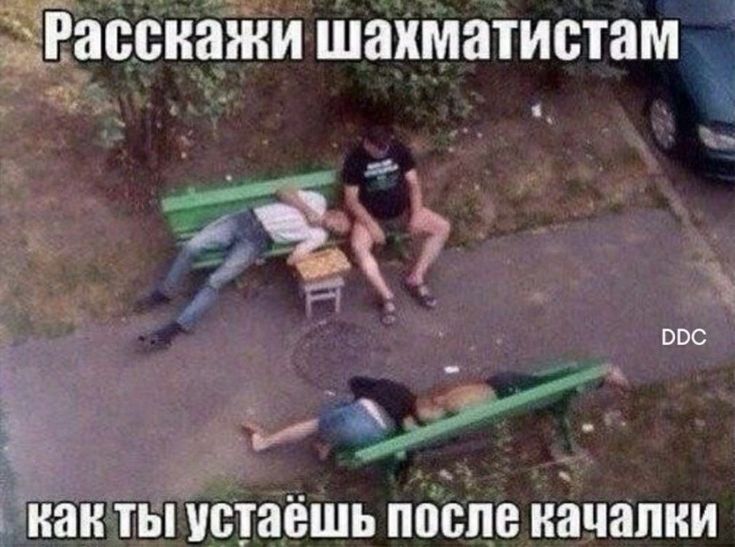 Расскажи шахматистам как ты устаешь в качалке