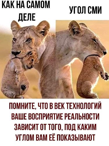О восприятии реальности
