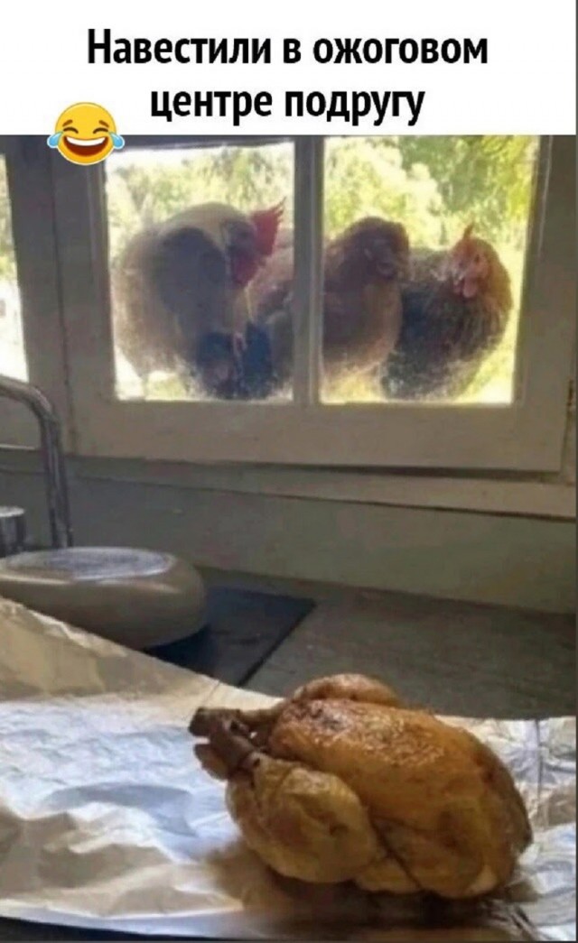 Мемы