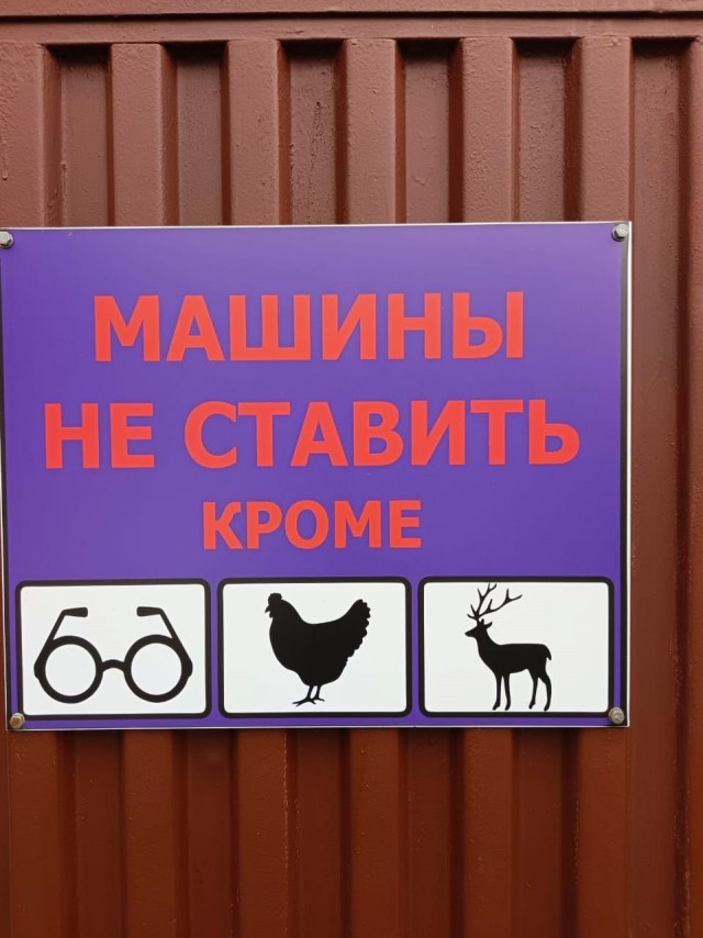 Мемы