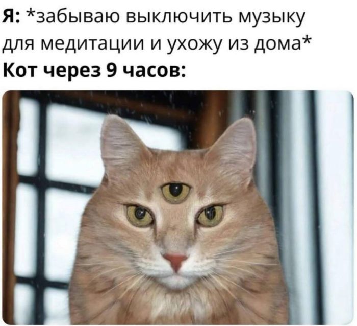 Юмор