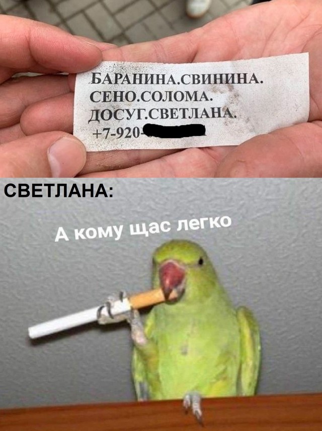 Мемы