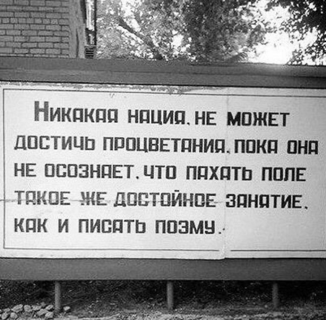 Мемы