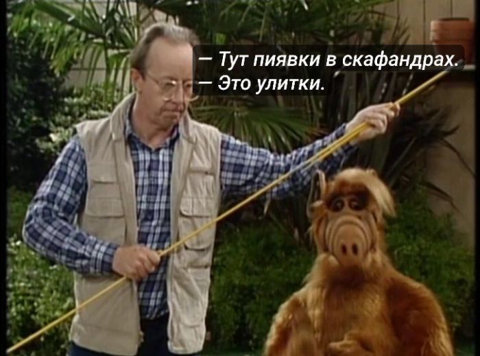 Мемы