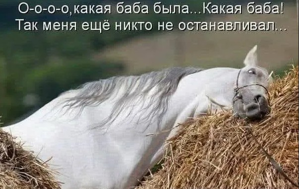 Юмор