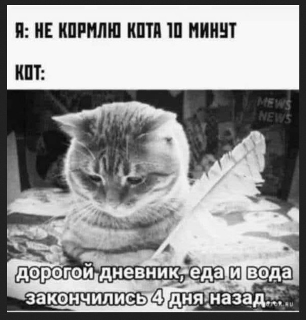 Юмор