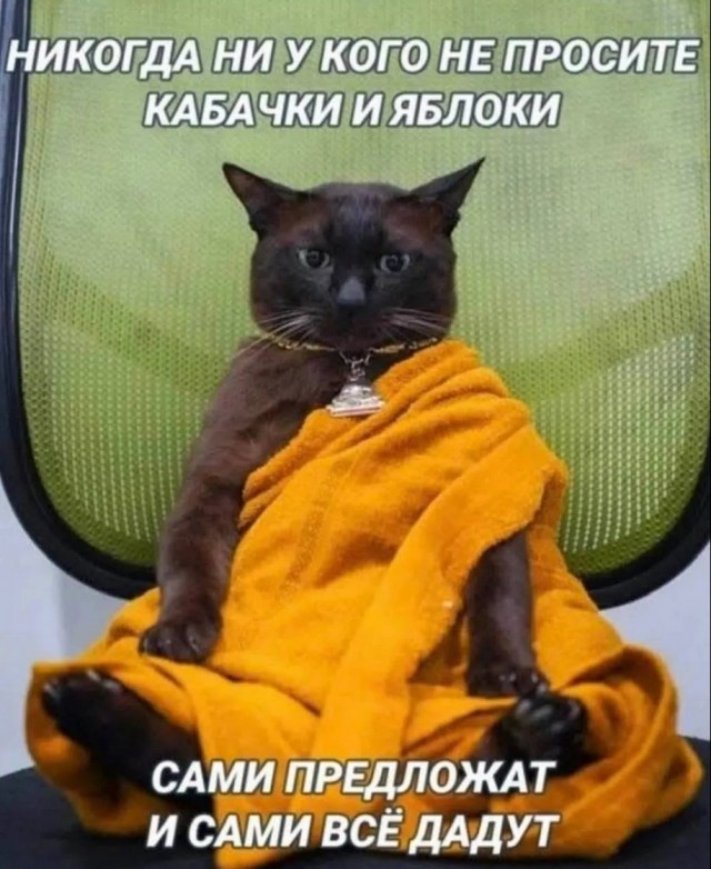 Юмор