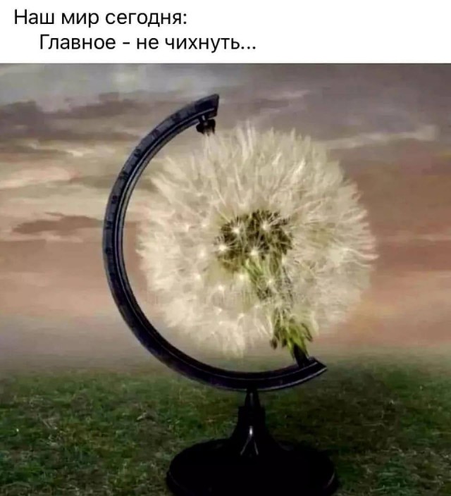 Мемы