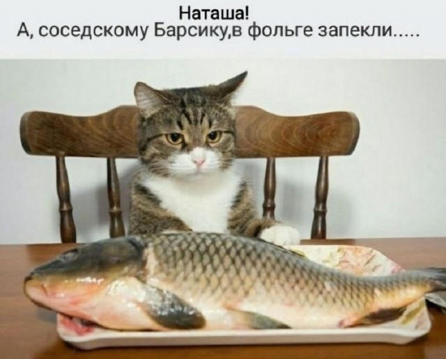Мемы