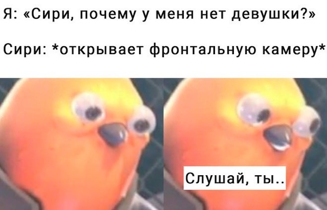 Мемы дня