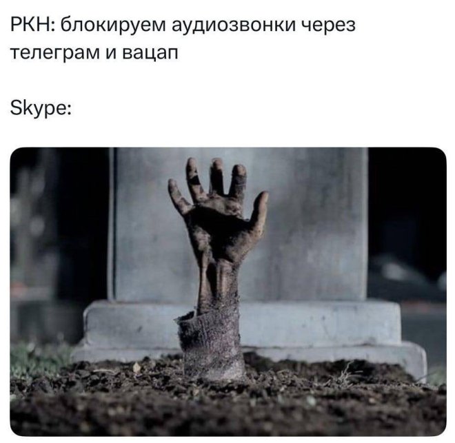 Новые приколы