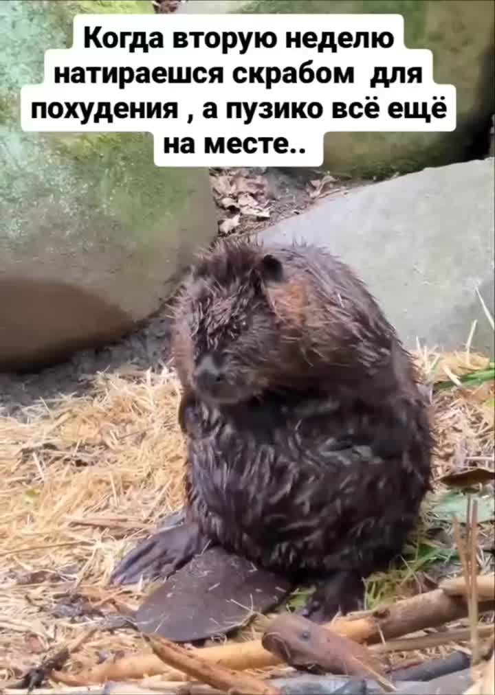Девушки, узнаете себя?