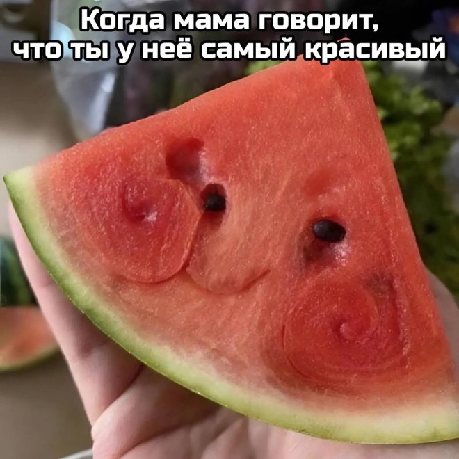 Мемы дня