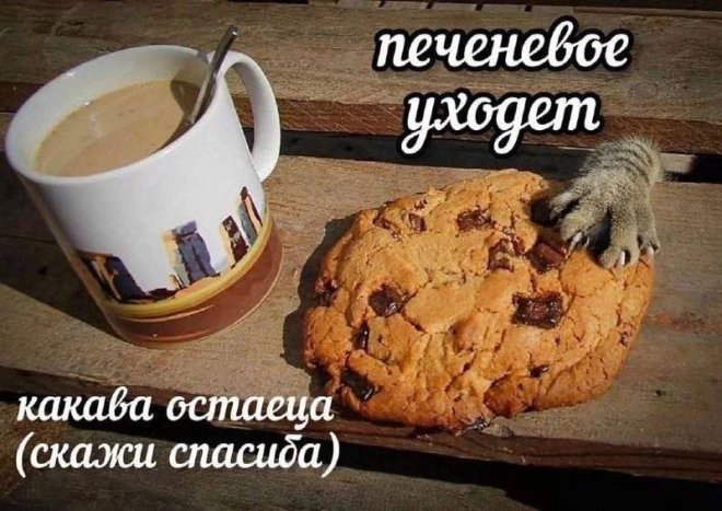 Приколы