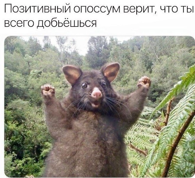 Мем