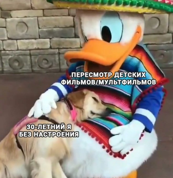 Мемы дня