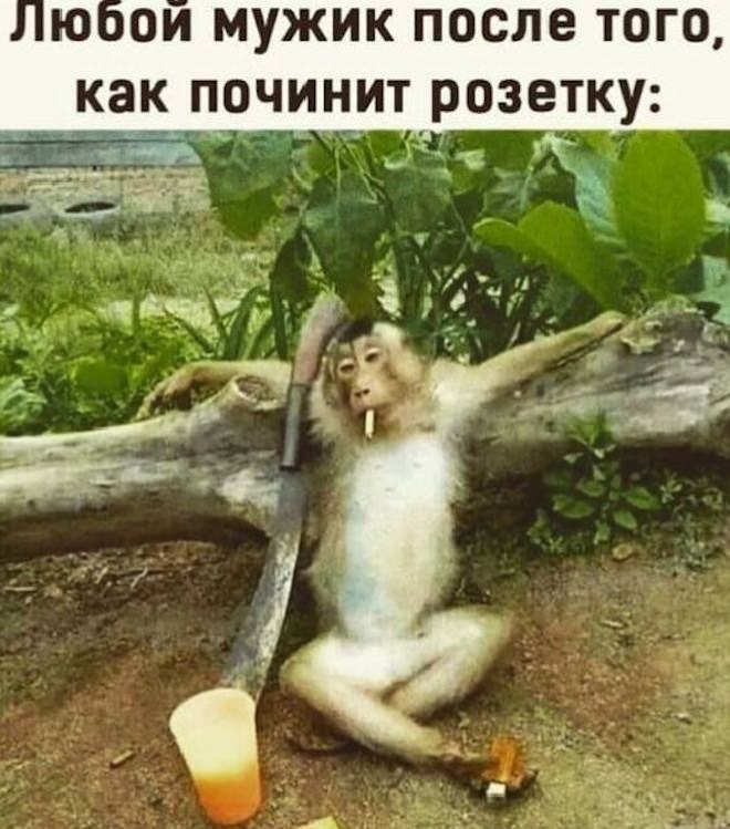 Веселые приколы в мемах