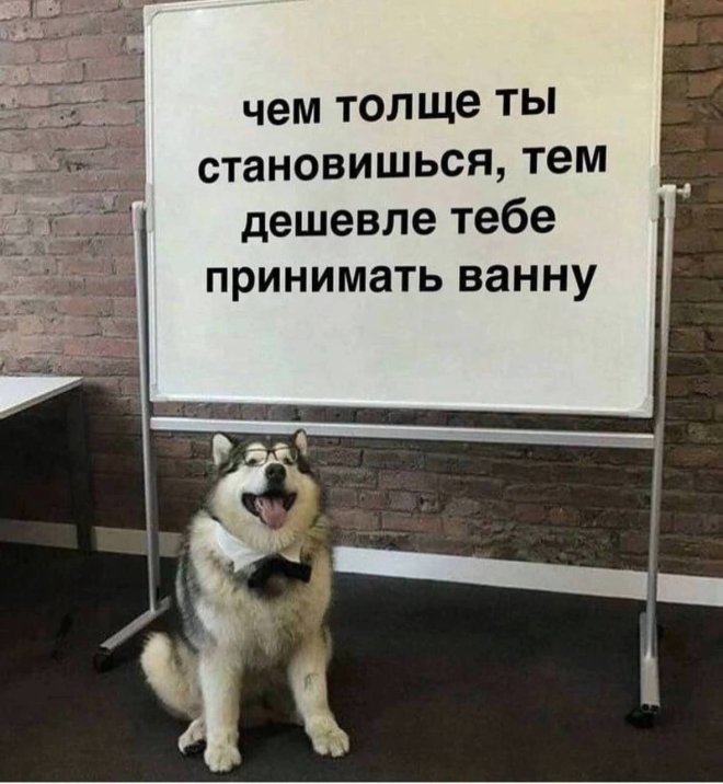 Приколы