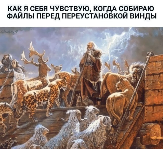 Новые приколы
