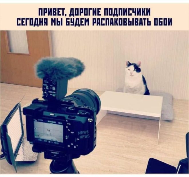 Приколы