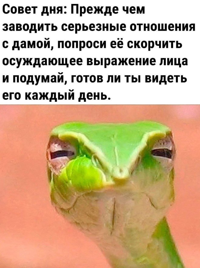 Мемы и приколы
