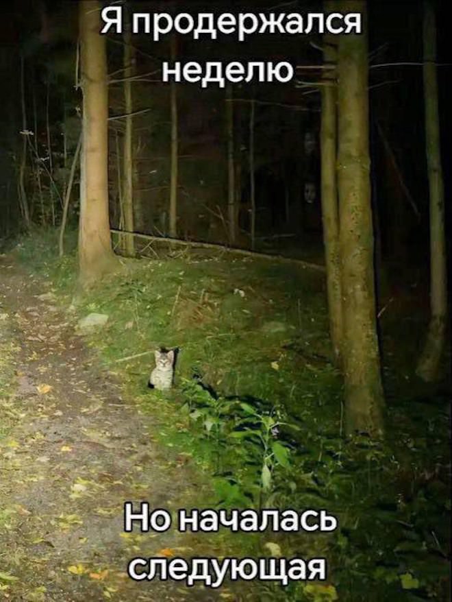 Мем