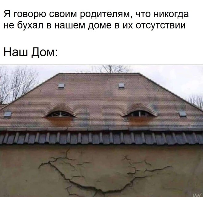 Мемы дня