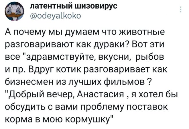 Смешные комментарии