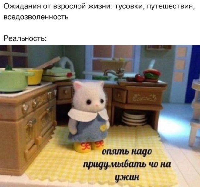 Мемы дня