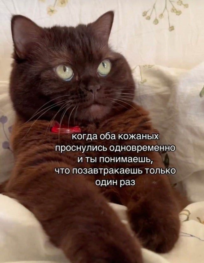 Приколы