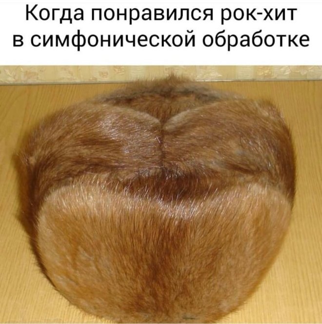 Веселые приколы в мемах