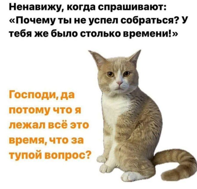 Веселые приколы в мемах