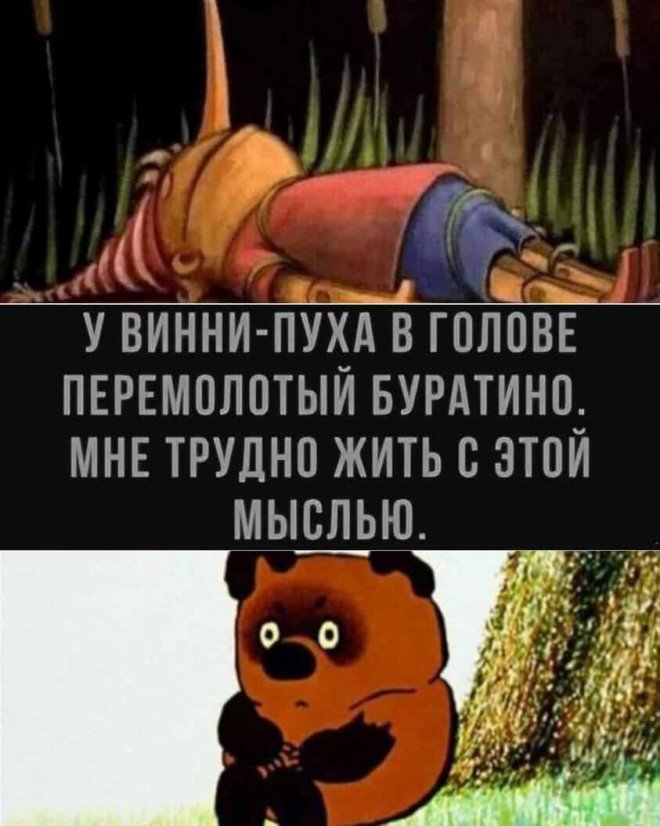Новые приколы