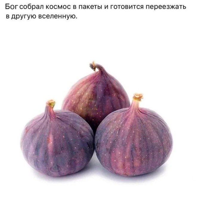 Мемы и приколы
