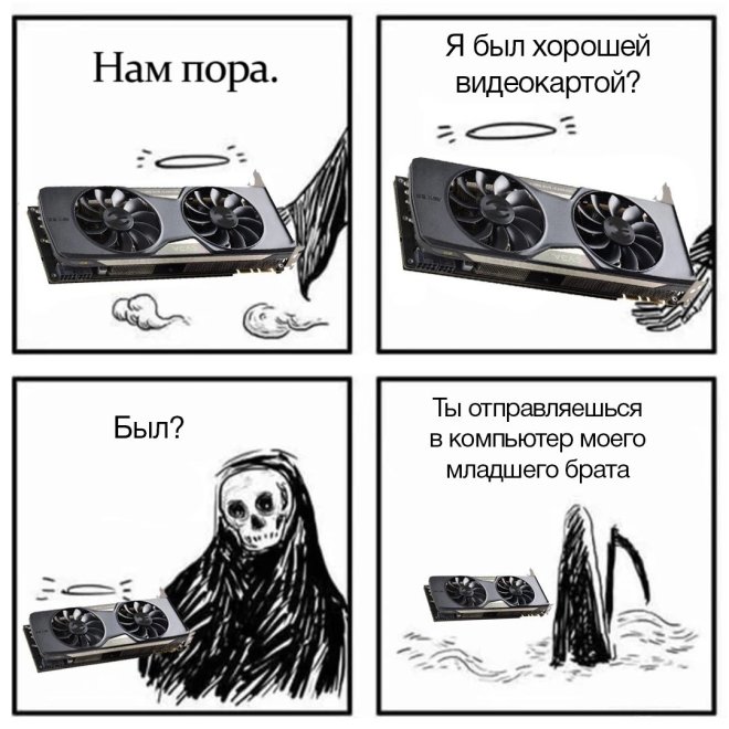 Новые приколы