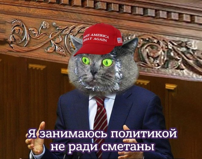 Новые приколы