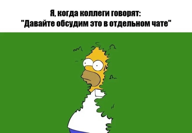 Веселые приколы