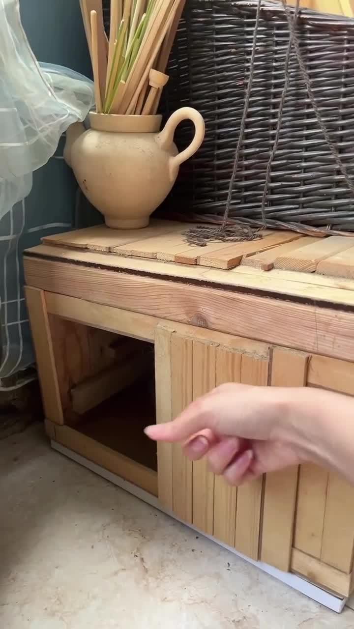 Этого котика явно достала хозяйка