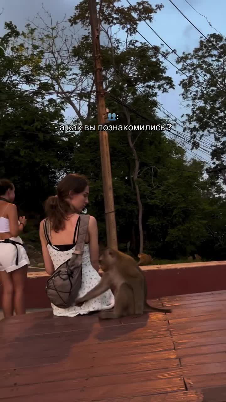 А как вы познакомились?