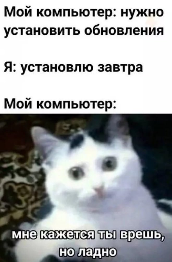 Веселые приколы в мемах