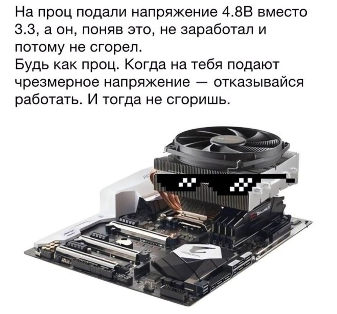 Новые приколы