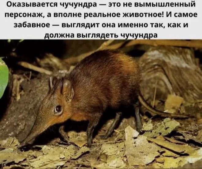 Мемы и приколы