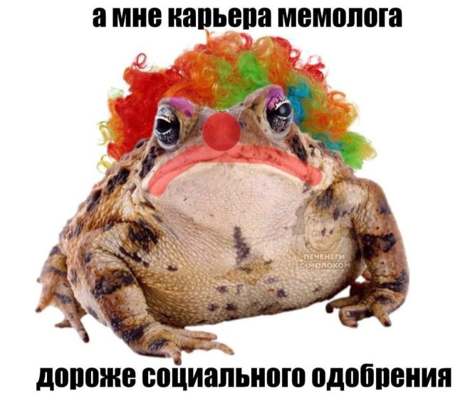 Новые приколы