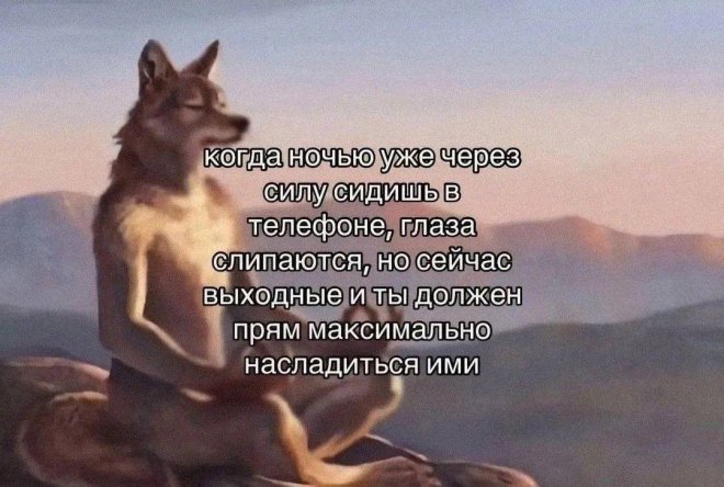 Мемы и приколы