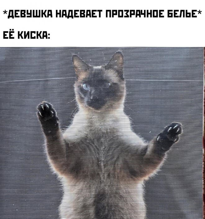 Приколы