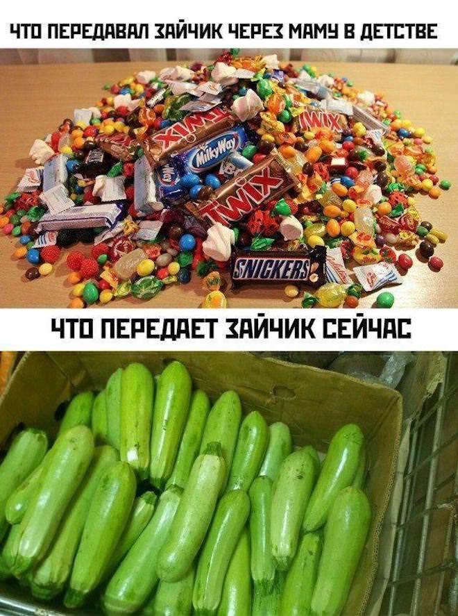 Мемы дня