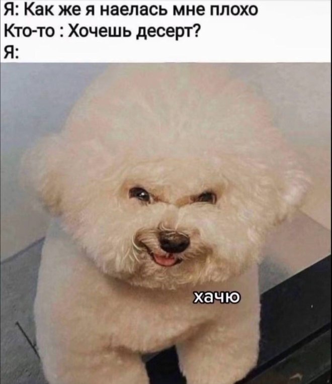 Приколы